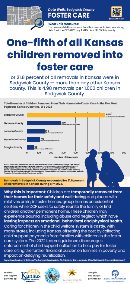 Screen Shot of Poster: Foster Care Removal by County
